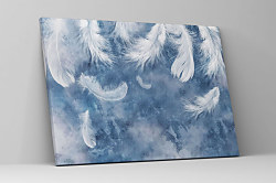 Obraz Lietajúce biele pierka 2011